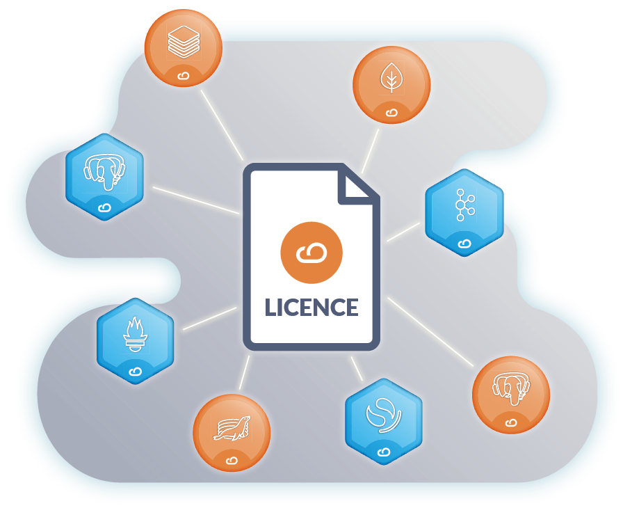 Overview of licence management software dashboard showcasing tools for tracking and organising software licenses efficiently.