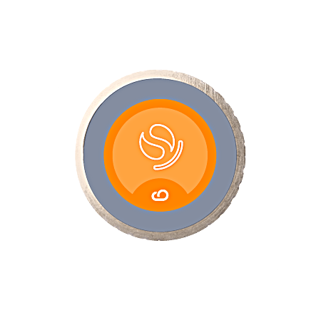 Button featuring an orange and white icon illustrating a9s search data service.