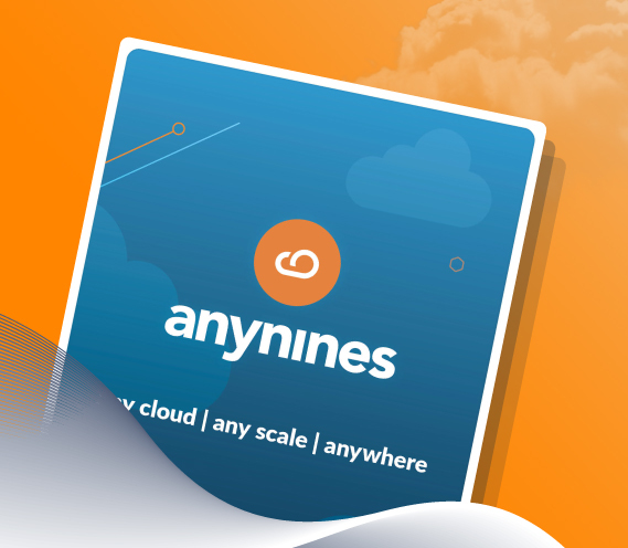 Thumbnail of the anynines protfolio brochure